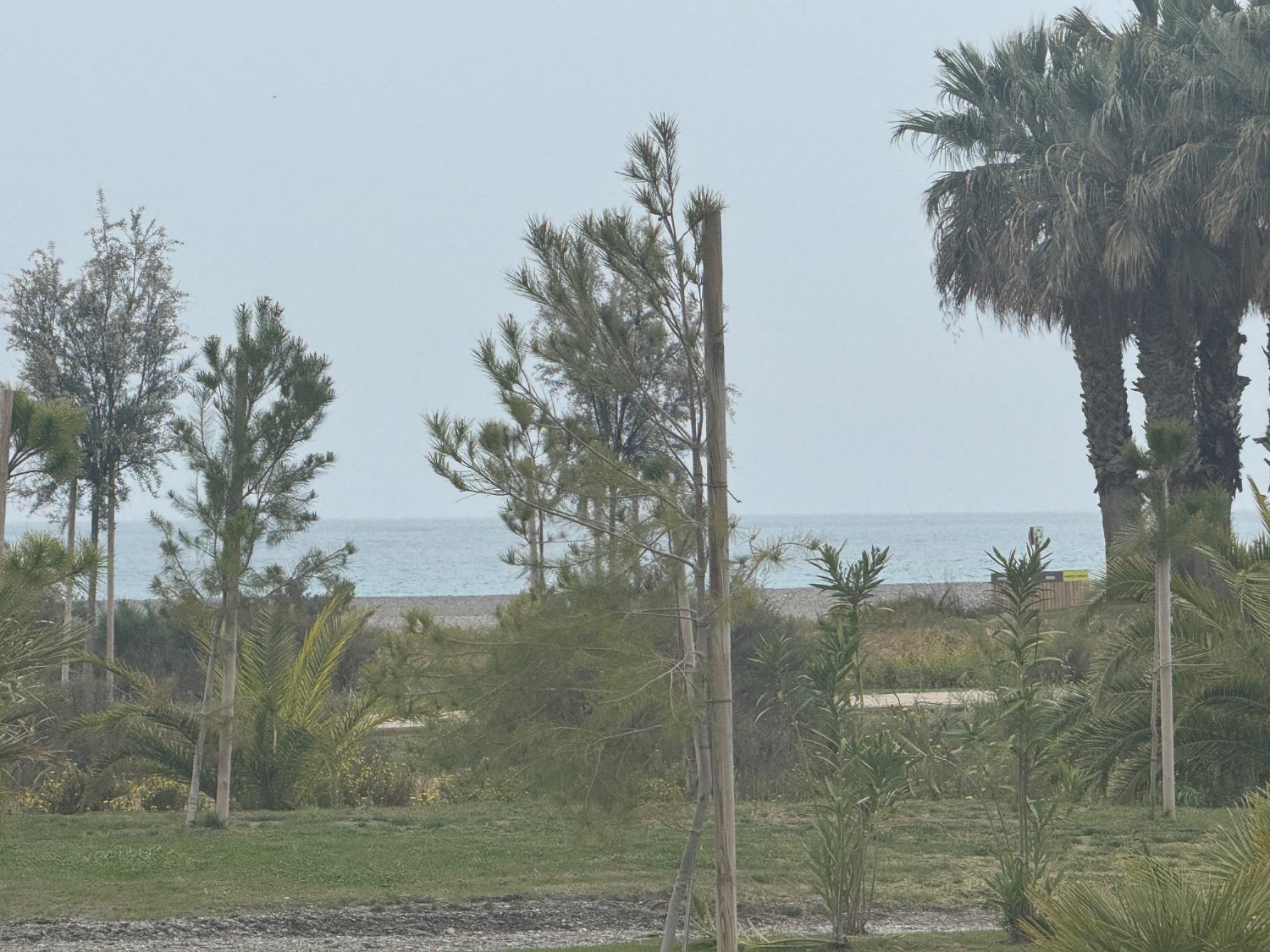 Se vende un piso en primera línea de la playa poniente