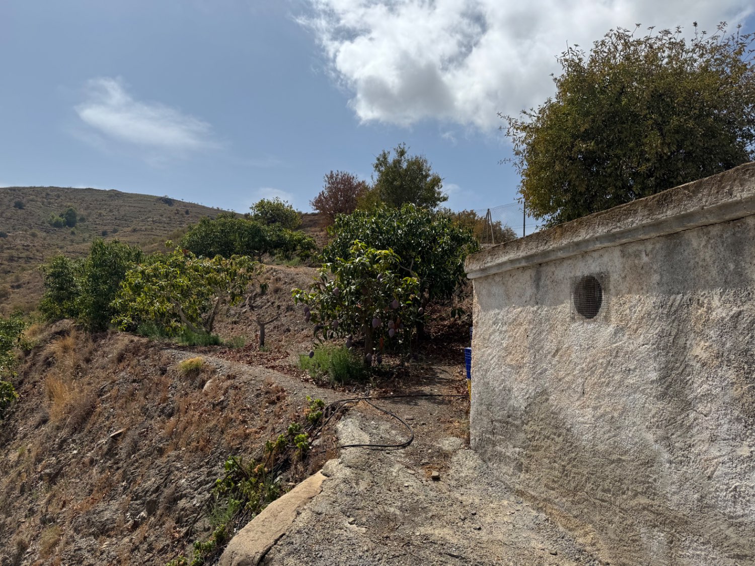 Finca en venta en Molvízar
