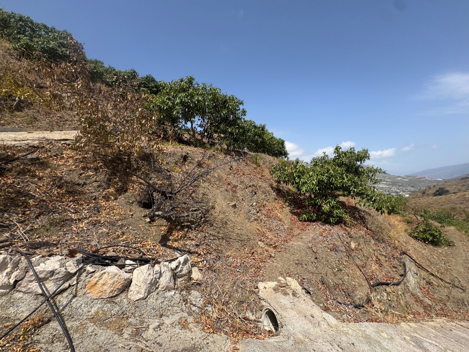 Finca en venta en Molvízar