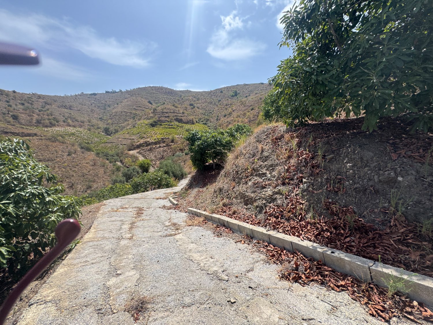 Finca en venta en Molvízar