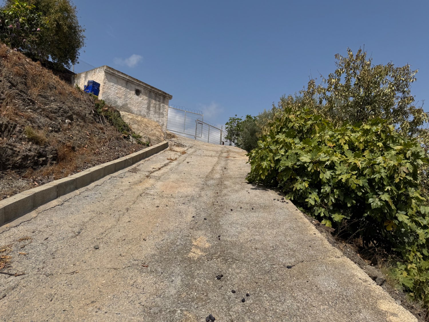 Finca en venta en Molvízar