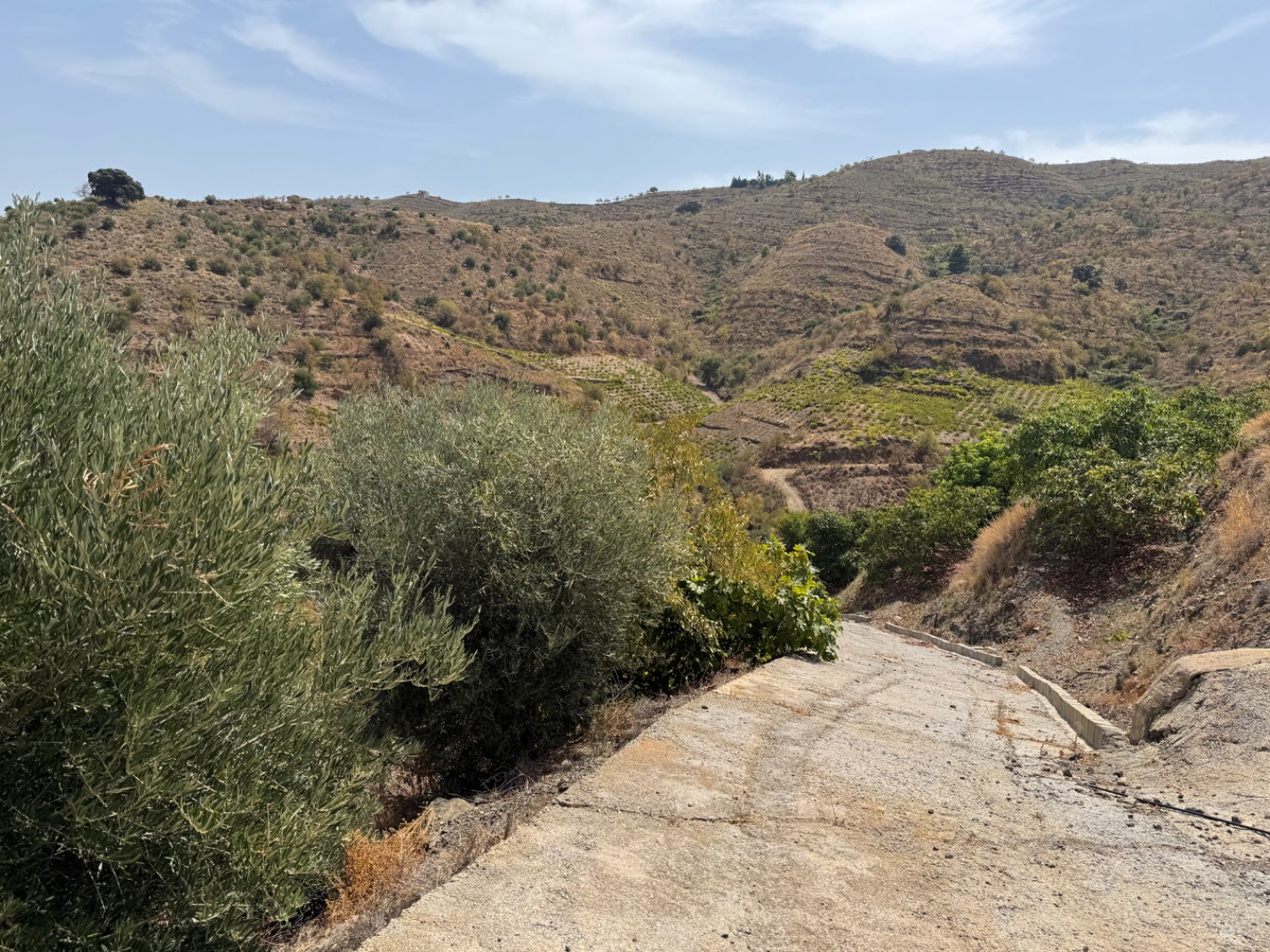 Finca en venta en Molvízar