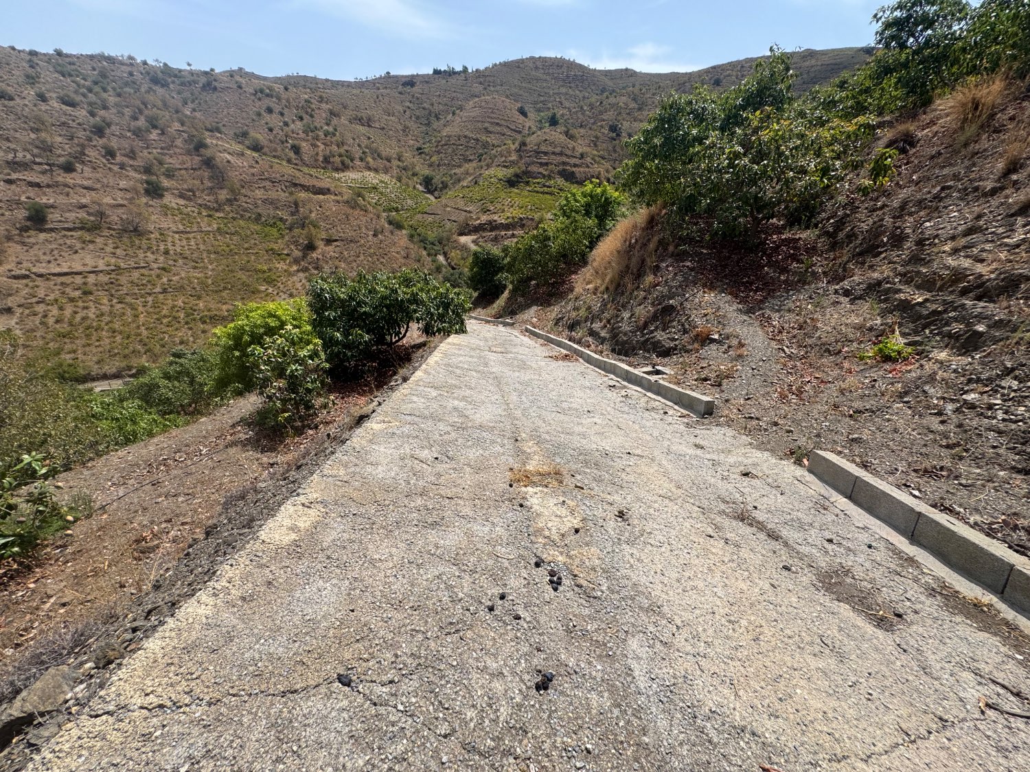 Finca en venta en Molvízar