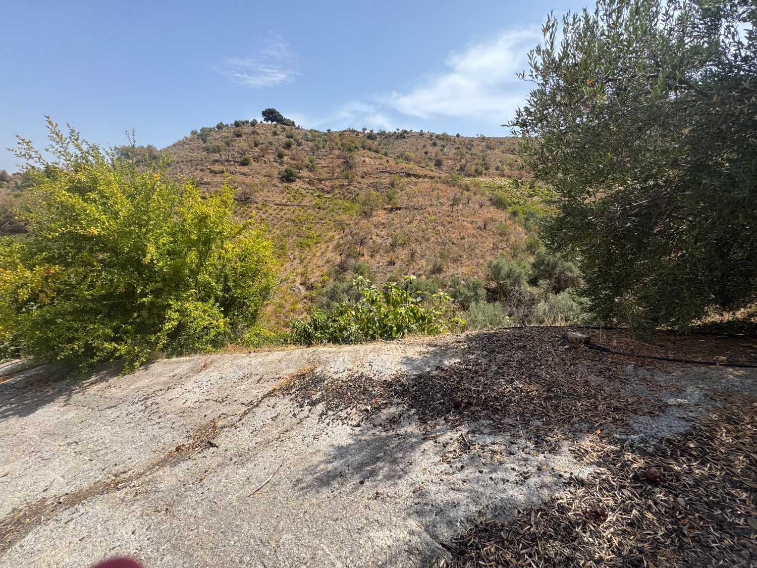 Finca en venta en Molvízar