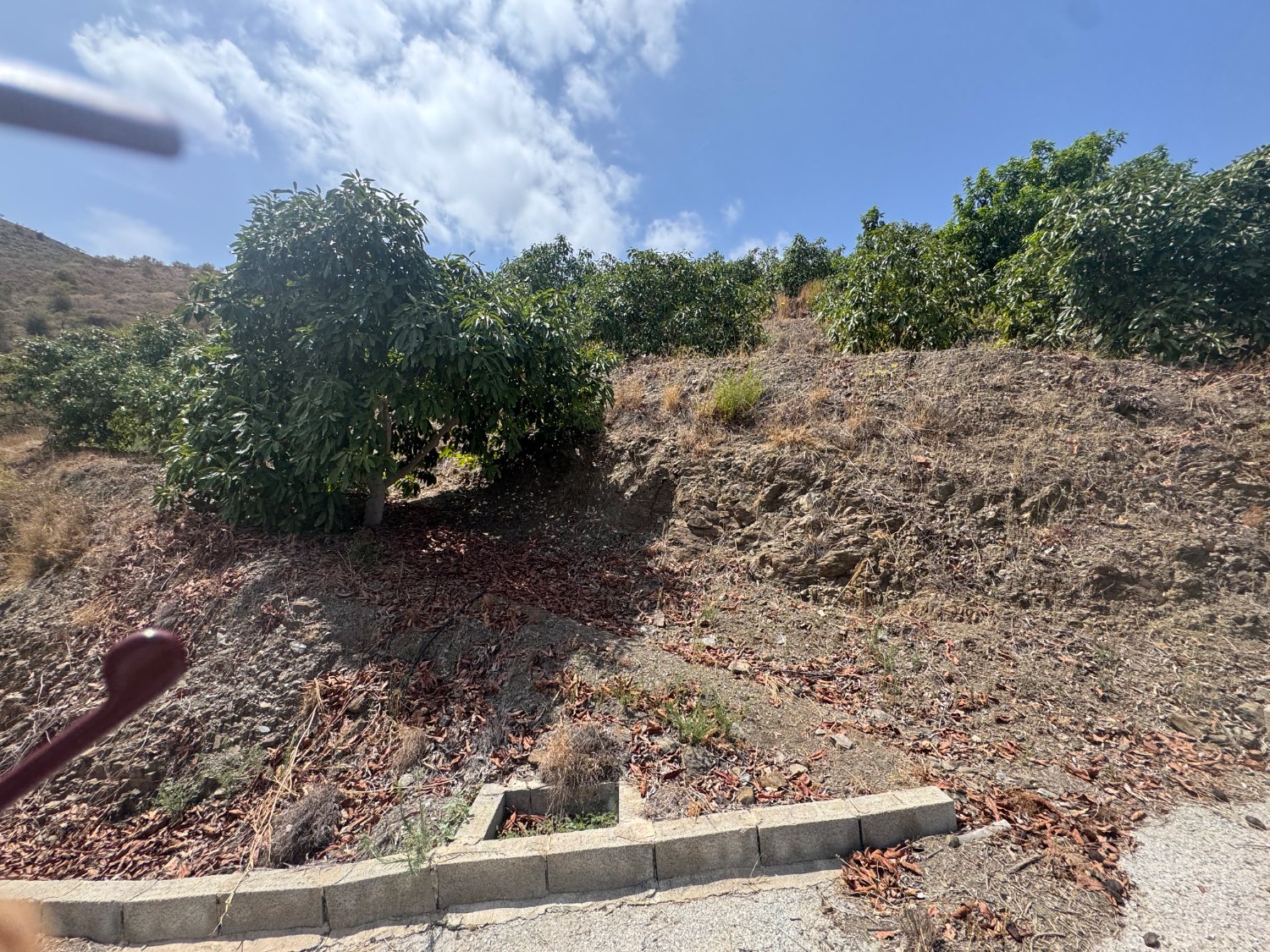 Finca en venta en Molvízar