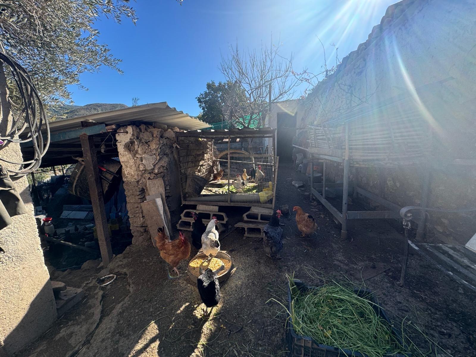 Villa en venta en Motril