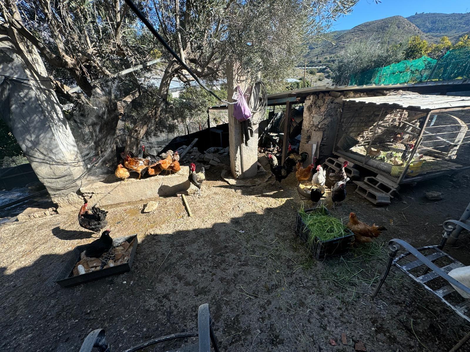 Villa en venta en Motril