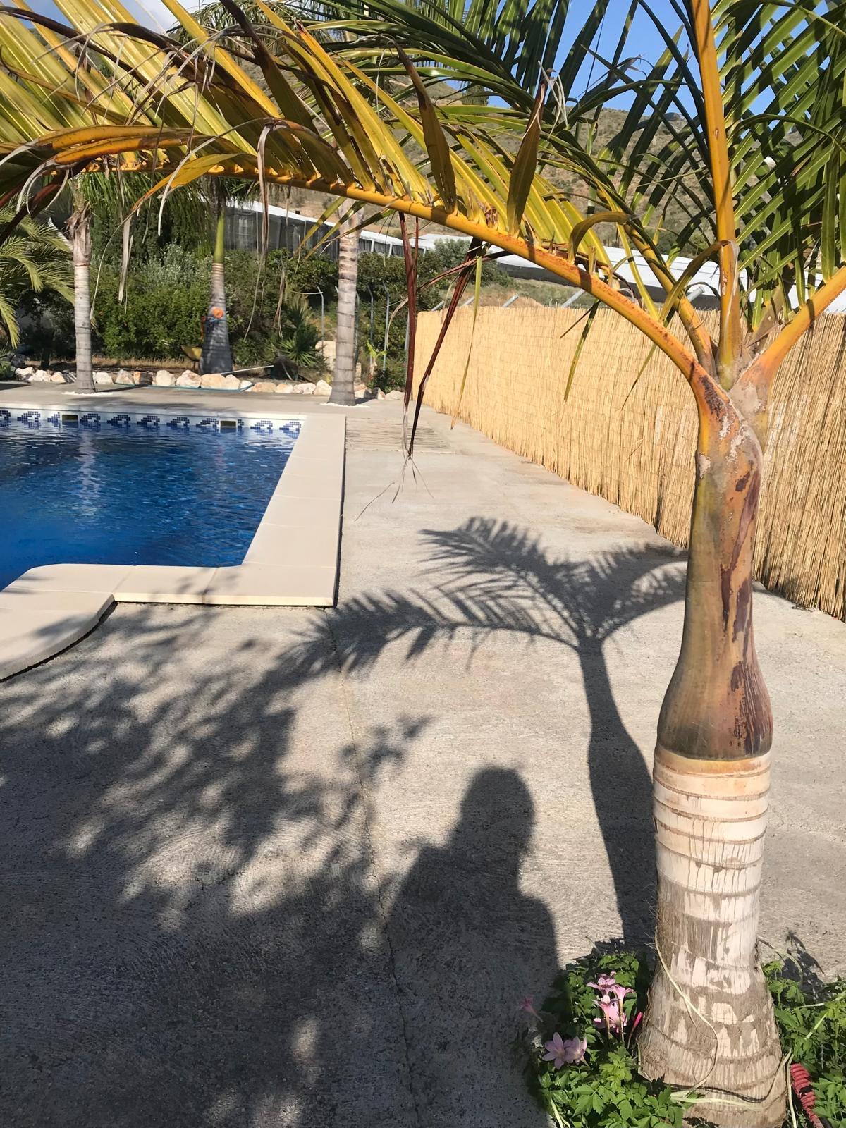 House for sale in Motril