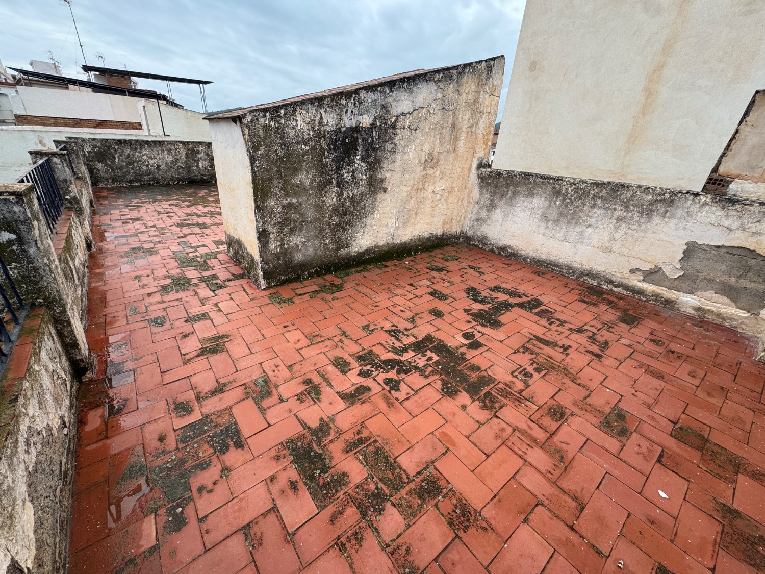 House for sale in Molvízar